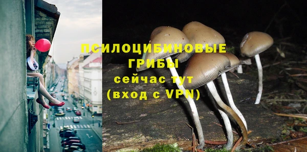 дурь Покачи