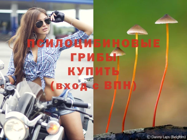 кокс Абаза