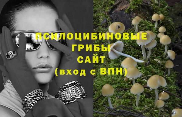 не бодяженный Абинск