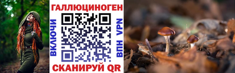 Псилоцибиновые грибы мицелий  Жердевка 