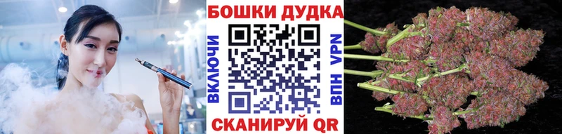 Бошки марихуана план Жердевка